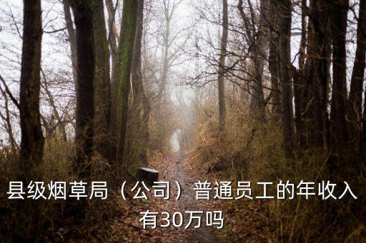 縣級煙草局（公司）普通員工的年收入有30萬嗎