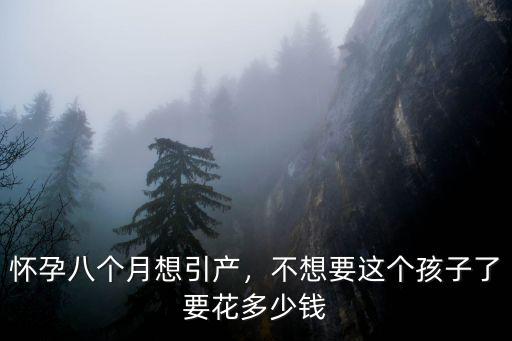 懷孕八個月想引產，不想要這個孩子了要花多少錢