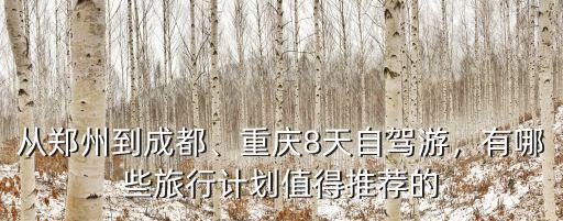 從鄭州到成都、重慶8天自駕游，有哪些旅行計劃值得推薦的