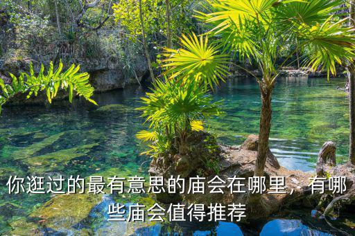 你逛過(guò)的最有意思的廟會(huì)在哪里，有哪些廟會(huì)值得推薦