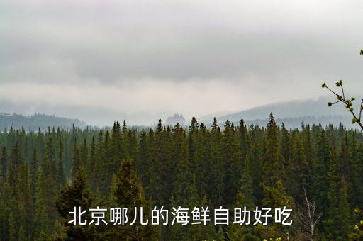 北京哪兒的海鮮自助好吃