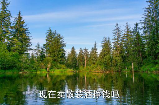 濮陽市賣散酒怎么樣,鄉(xiāng)鎮(zhèn)賣散酒的生意怎么樣