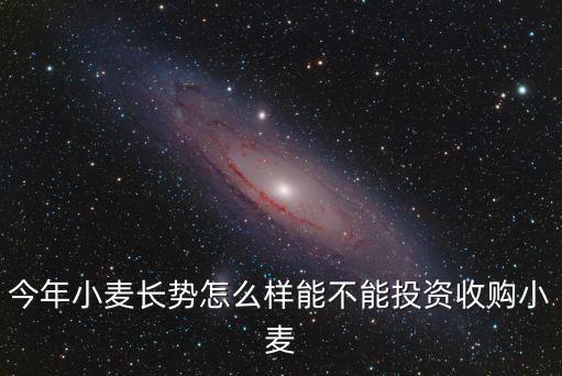 今年小麥長勢(shì)怎么樣能不能投資收購小麥