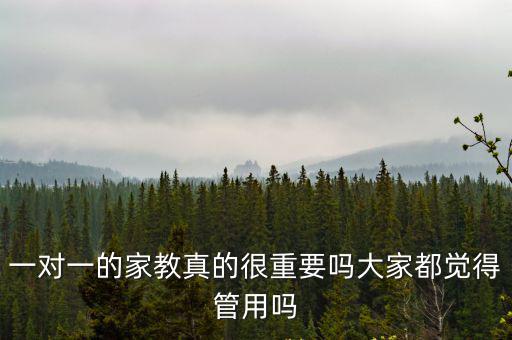 一對(duì)一的家教真的很重要嗎大家都覺(jué)得管用嗎