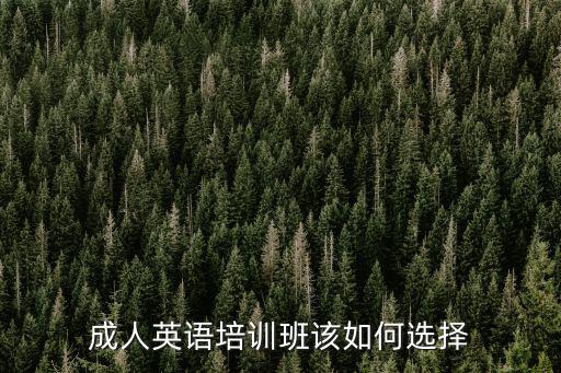 成人英語(yǔ)培訓(xùn)班該如何選擇
