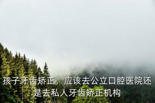 孩子牙齒矯正，應該去公立口腔醫院還是去私人牙齒矯正機構