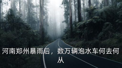 河南鄭州暴雨后，數萬輛泡水車何去何從