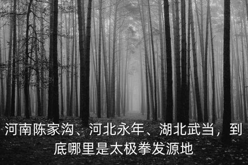 河南陳家溝、河北永年、湖北武當，到底哪里是太極拳發源地