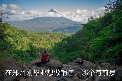 在鄭州剛畢業(yè)想做銷售，哪個有前景