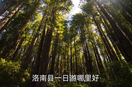 洛南縣一日游哪里好