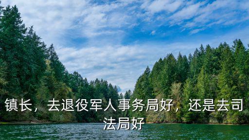 鎮(zhèn)長，去退役軍人事務(wù)局好，還是去司法局好