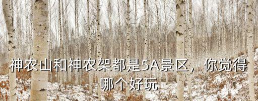 河南神農(nóng)山風(fēng)景區(qū)在哪里,河南哪里旅游好呢