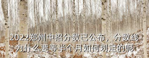 2022鄭州中招分?jǐn)?shù)已公布，分?jǐn)?shù)線為什么要等半個(gè)月如何劃定的呢
