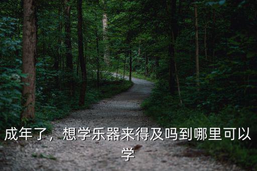 成年了，想學樂器來得及嗎到哪里可以學