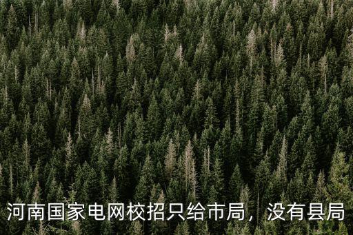 河南國家電網校招只給市局，沒有縣局