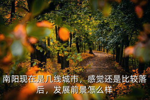 南陽現(xiàn)在是幾線城市，感覺還是比較落后，發(fā)展前景怎么樣