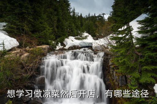 河南哪里有學做涼菜的,學做涼拌菜哪里能學