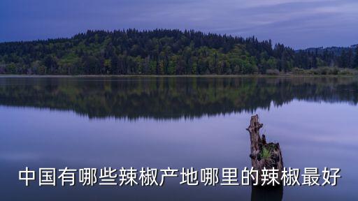 中國有哪些辣椒產(chǎn)地哪里的辣椒最好
