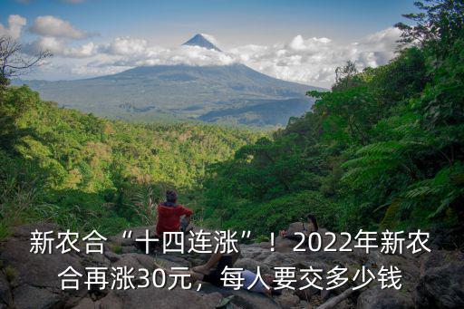 南陽社旗縣新農合要交多少錢,每人要交多少錢