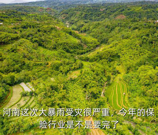河南大暴雨平安保險賠多少錢,河南這次大暴雨受災很嚴重