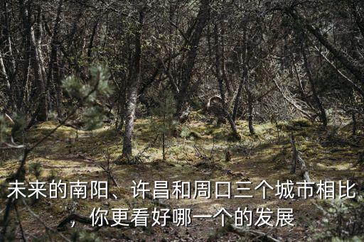 未來的南陽、許昌和周口三個城市相比，你更看好哪一個的發(fā)展
