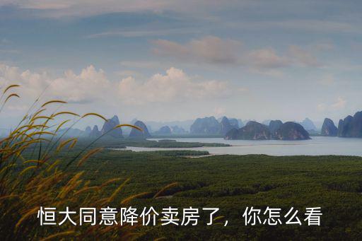 恒大同意降價(jià)賣房了，你怎么看