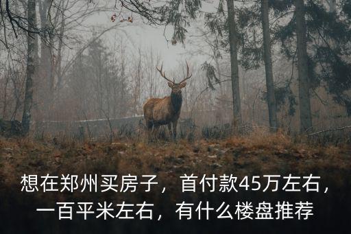 想在鄭州買房子，首付款45萬左右，一百平米左右，有什么樓盤推薦