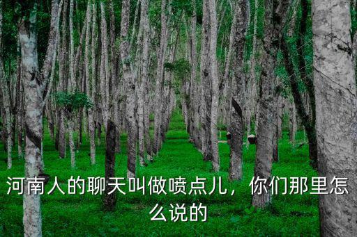 河南人的聊天叫做噴點兒，你們那里怎么說的