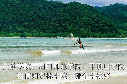 信陽學院提檔比例是多少,提檔比例為1:1.1