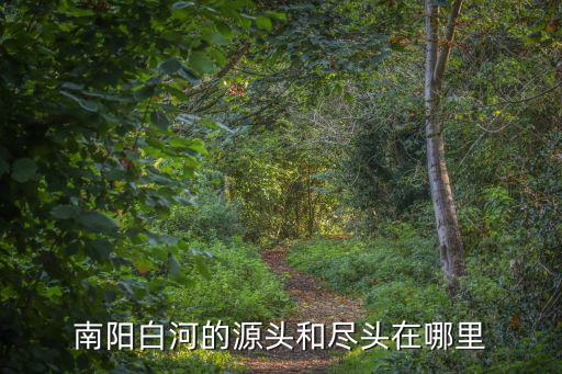 南陽(yáng)飲水思源在哪里,南陽(yáng)白河的源頭和盡頭在哪里