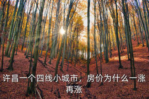 許昌一個四線小城市，房價為什么一漲再漲