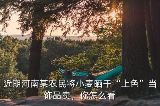 近期河南某農(nóng)民將小麥曬干“上色”當(dāng)飾品賣，你怎么看