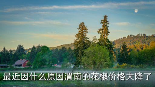 最近因什么原因渭南的花椒價格大降了