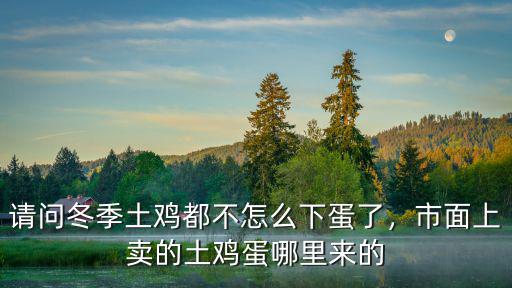 請問冬季土雞都不怎么下蛋了，市面上賣的土雞蛋哪里來的