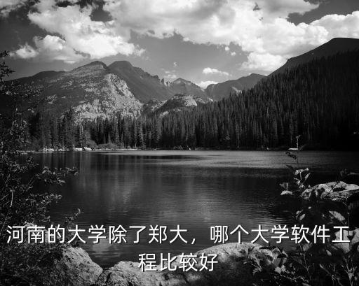 河南的大學除了鄭大，哪個大學軟件工程比較好