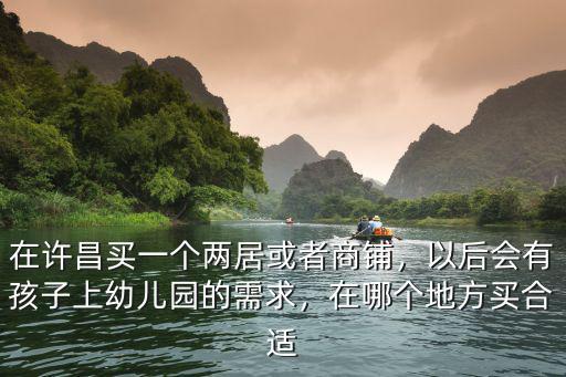 在許昌買一個兩居或者商鋪，以后會有孩子上幼兒園的需求，在哪個地方買合適