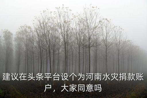 建議在頭條平臺設個為河南水災捐款賬戶，大家同意嗎