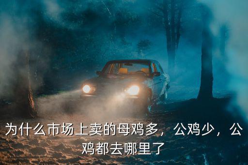 為什么市場(chǎng)上賣的母雞多，公雞少，公雞都去哪里了