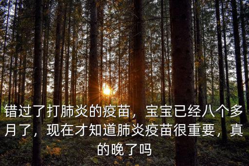 周口哪里可以打肺炎疫苗,肺炎疫苗什么時(shí)候打