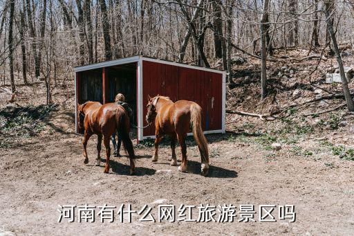 河南有什么網紅旅游景區嗎