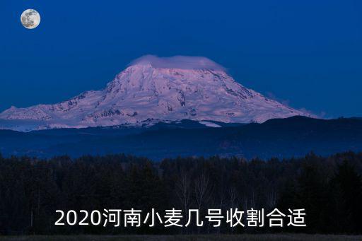 2020河南小麥幾號收割合適