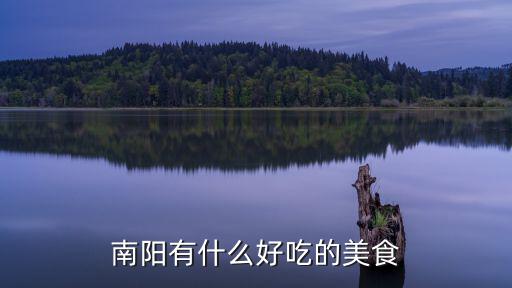南陽有什么好吃的美食