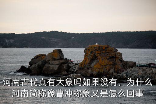 河南古代真有大象嗎如果沒有，為什么河南簡稱豫曹沖稱象又是怎么回事