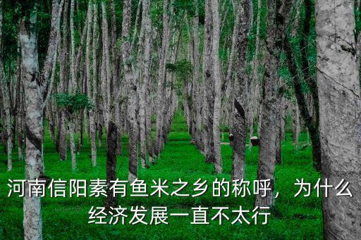 河南信陽新縣經濟怎么樣,河南信陽素有魚米之鄉的稱呼