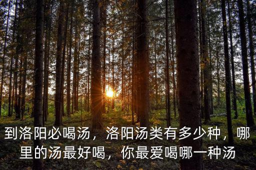 到洛陽必喝湯，洛陽湯類有多少種，哪里的湯最好喝，你最愛喝哪一種湯