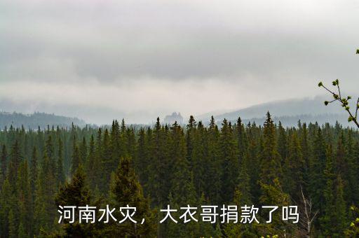 河南水災茅臺五糧液捐了多少錢,河南洪災你捐款了嗎