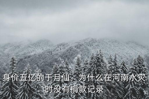 身價五億的于月仙，為什么在河南水災時沒有捐款記錄