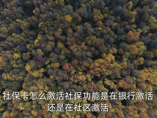 社保卡怎么激活社保功能是在銀行激活還是在社區激活