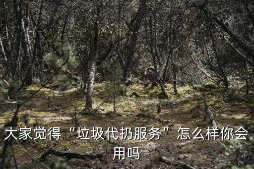 大家覺得“垃圾代扔服務”怎么樣你會用嗎