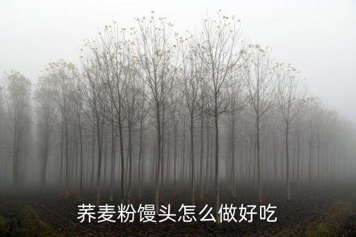 蕎麥粉饅頭怎么做好吃